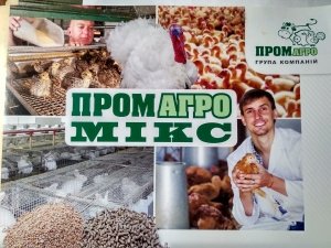 КОМБИКОРМ ТМ "ПромАгроМикс" ПК 64022 СТАРТ ДЛЯ ИНДЮКОВ ОТ 0 до 9 недель (Фасовка 25 кг)