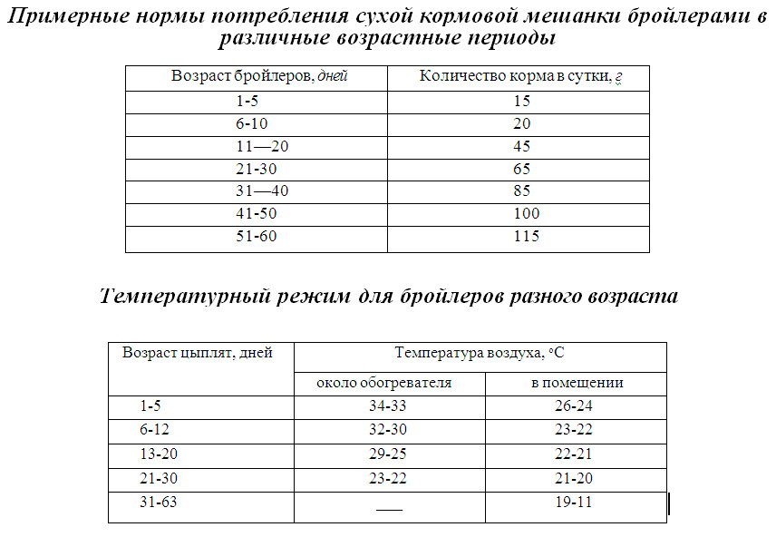 Кормление цыплят бройлеров
